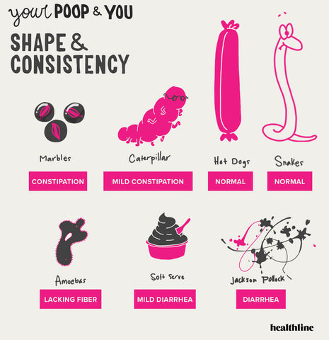 Healthy Poop Chart